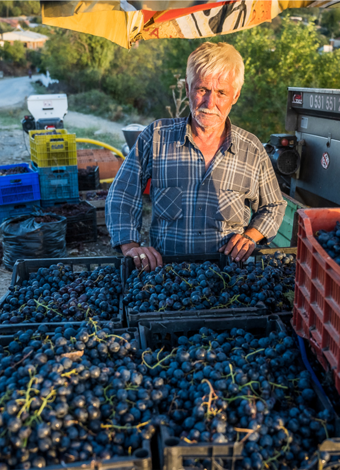 Untitled-3_0002_DSC_0656-OldWines