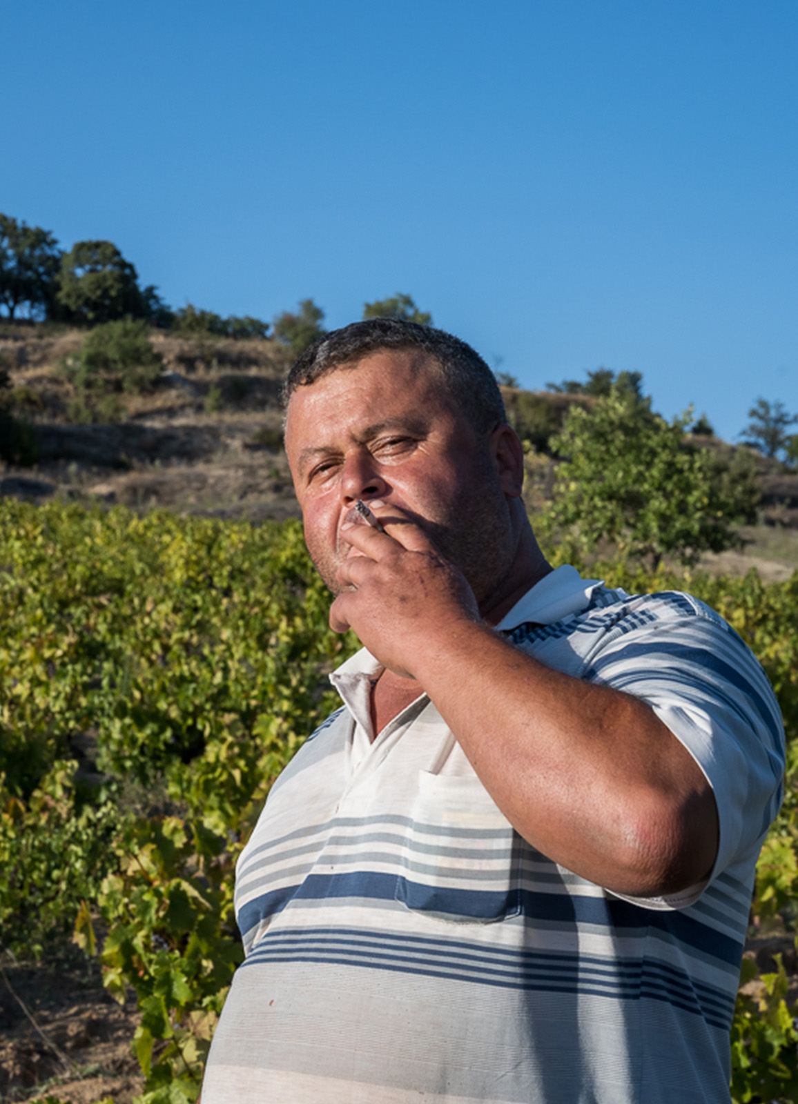 Untitled-3_0003_DSC_0572-OldWines